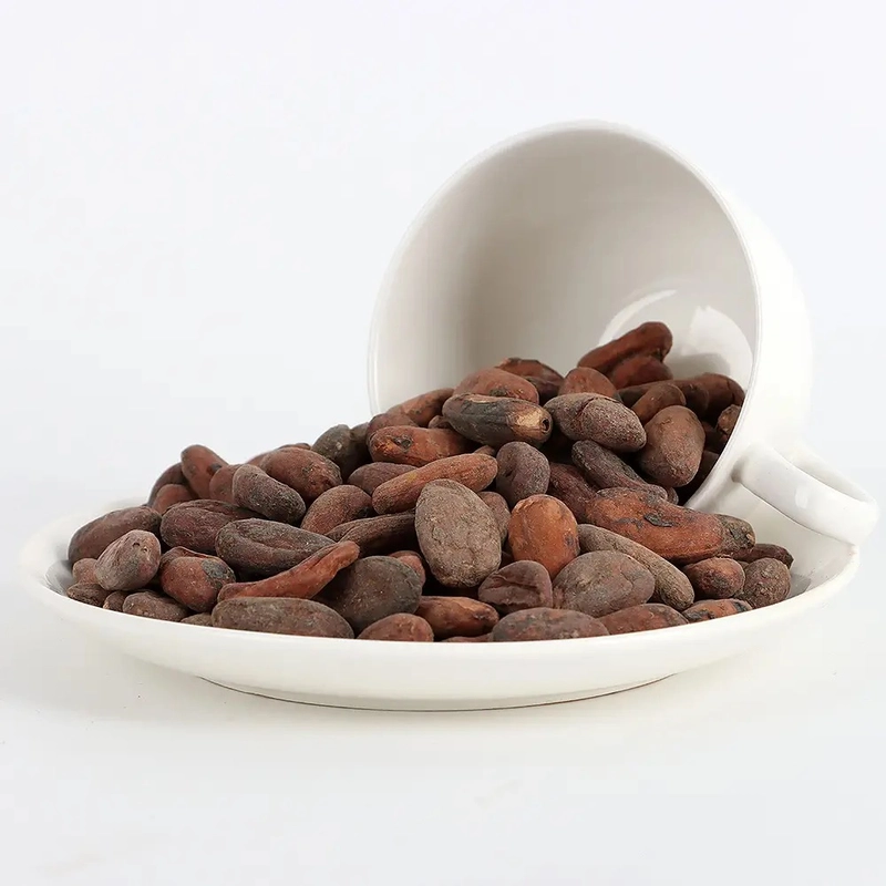 industrial cocoa powder supplier