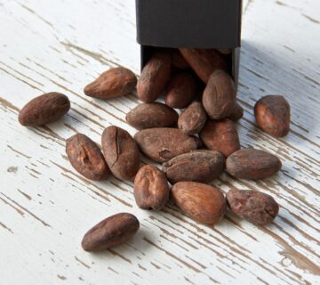 Alkalized Cocoa Powder for Hot Chocolate Alkalized Cocoa Powder for Hot Chocolate