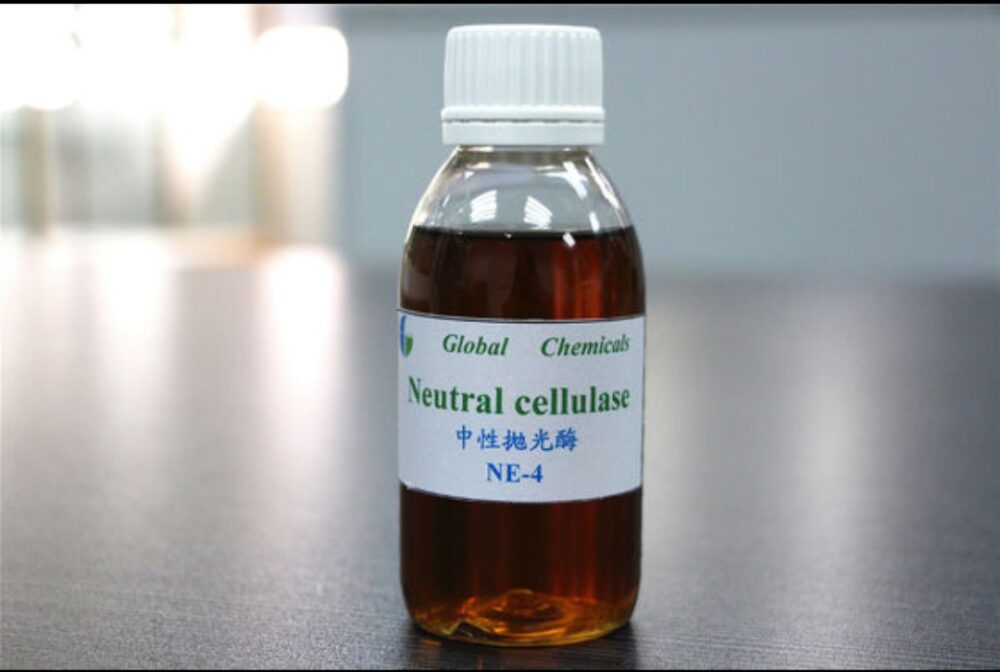 Cellulase Enzyme Supplier