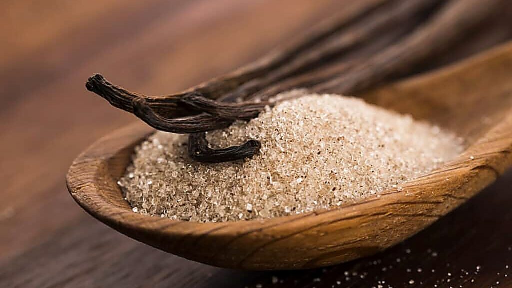 Natural Vanilla Powder for Food Industry