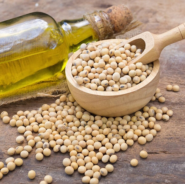 ADM Soy Lecithin Supplier