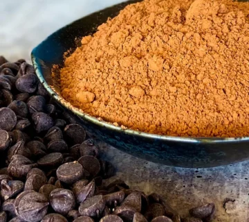 Alkalized Cocoa Powder Supplier Azerbaijan