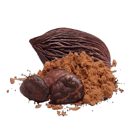 Alkalized Cocoa Powder Supplier Belarus