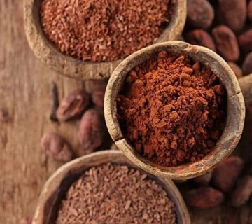 Alkalized Cocoa Powder Supplier Russia