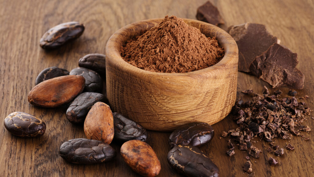 Alkalized Cocoa Powder Supplier Saudi Arabia