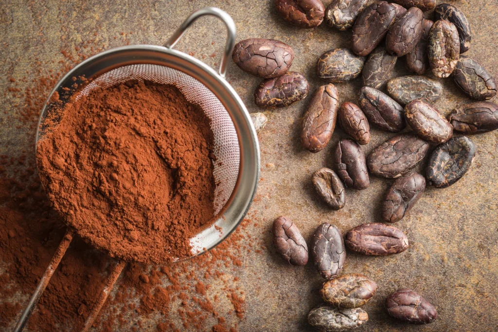 Alkalized Cocoa Powder Supplier Turkmenistan