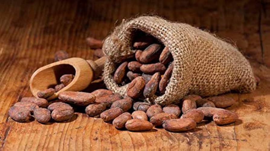 Bulk cocoa powder suppliers in Türkiye