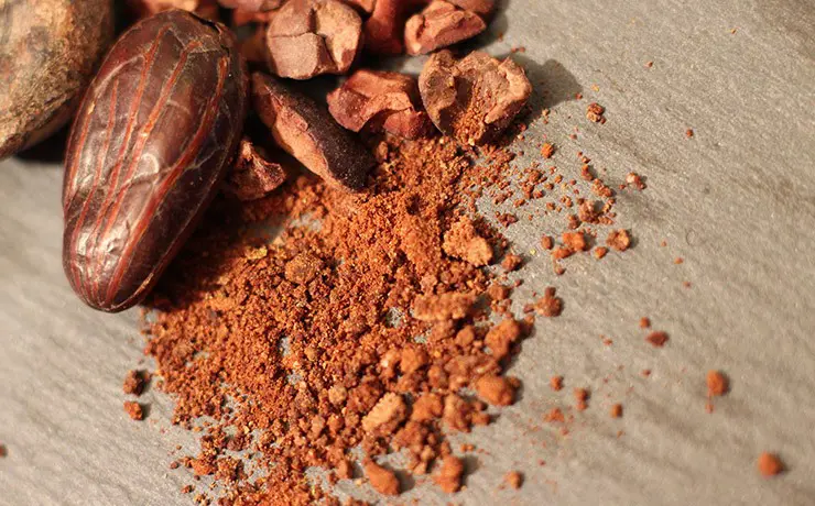 Bulk cocoa powder suppliers in Türkiye