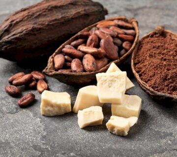 Cocoa Butter Substitutes (CBS) in Confectionery Applications