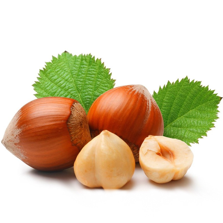 Dried In-Shell Hazelnuts for Export – Manufacturer in Türkiye