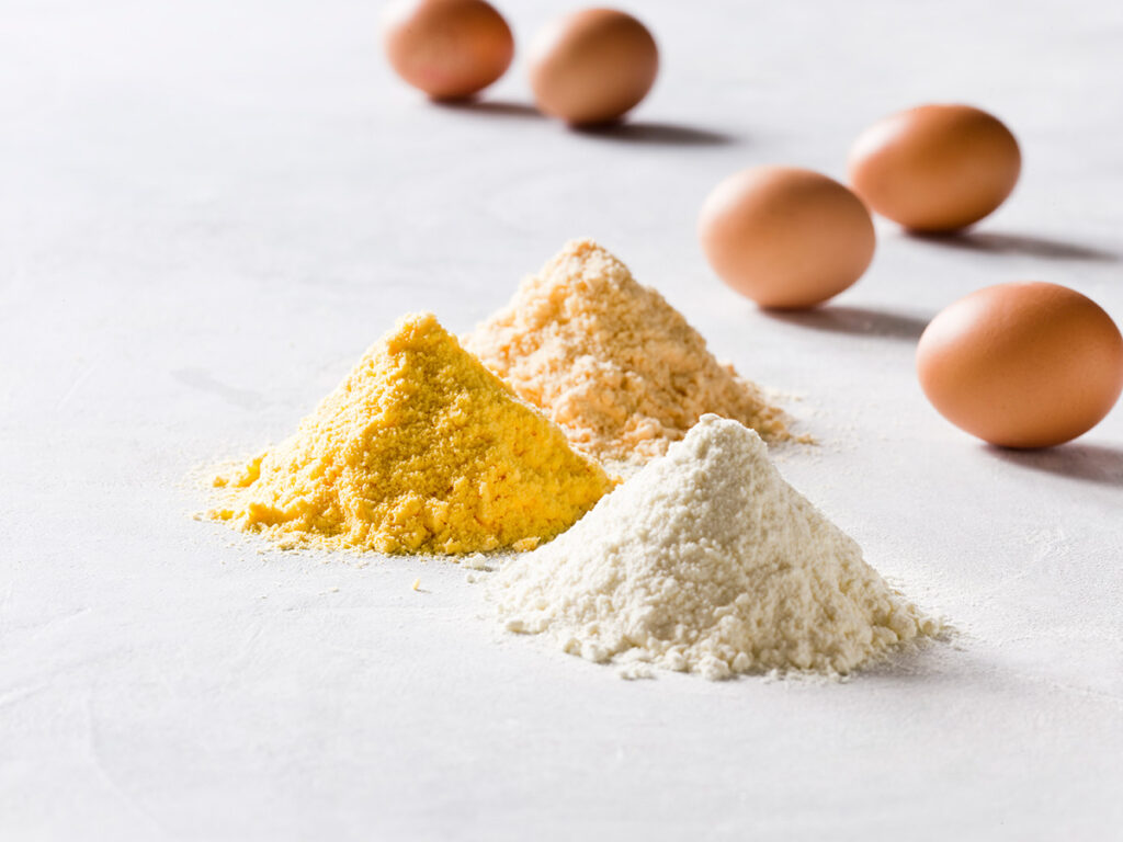 Free range Egg White Powder