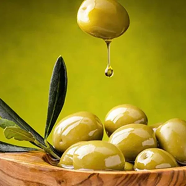 Extra Virgin Olive Oil 250 ml Glass Bottle – Latamarko Türkiye