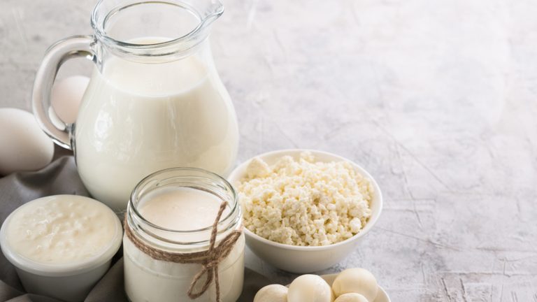 Edible and Refined Lactose Products