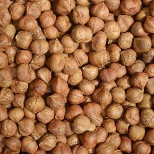 In-Shell Hazelnuts 20-22 mm – Manufacturer in Türkiye