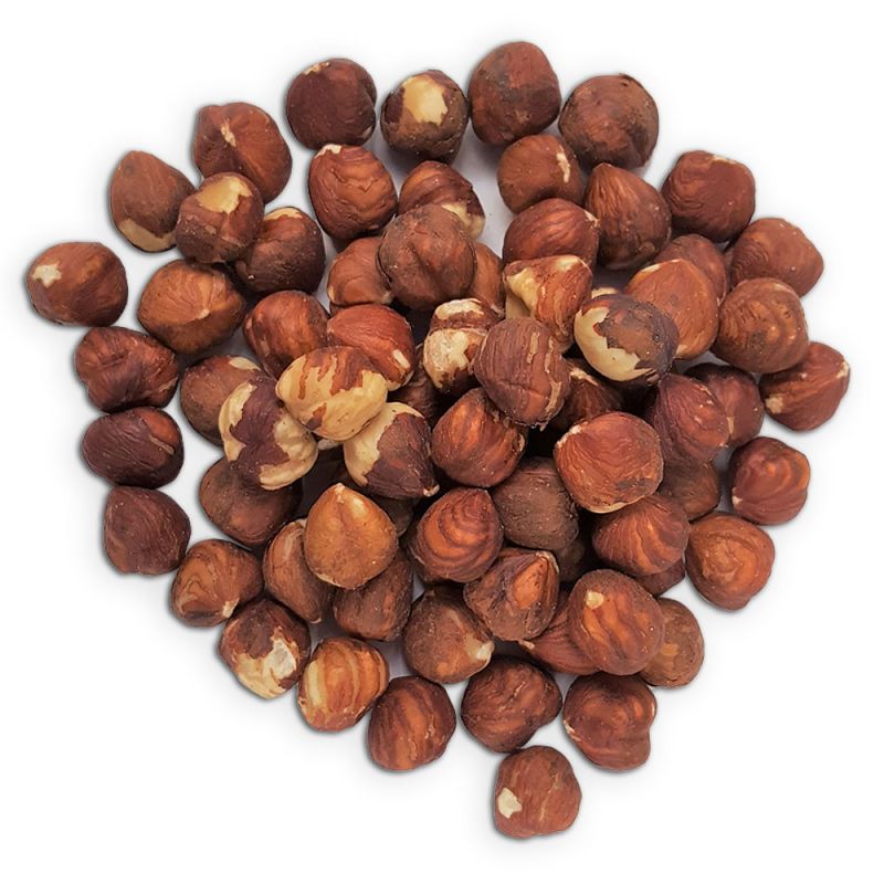 In-Shell Hazelnuts 22+ mm Premium – Manufacturer in Türkiye