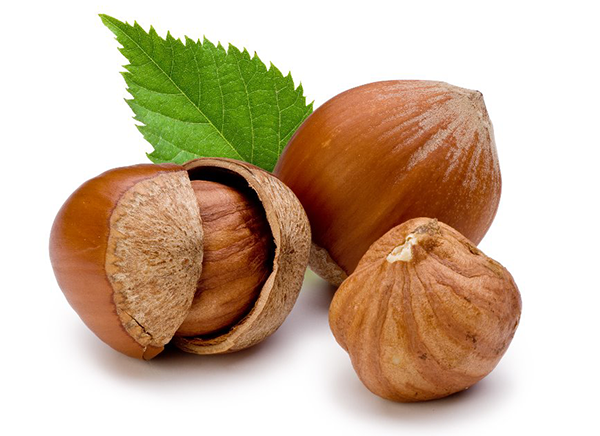 In-Shell Hazelnuts Bulk – Manufacturer in Türkiye