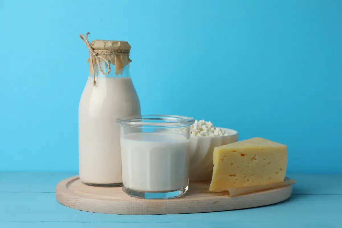 Edible and Refined Lactose Products