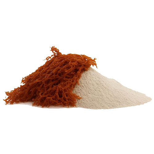Carrageenan Supplier in Türkiye