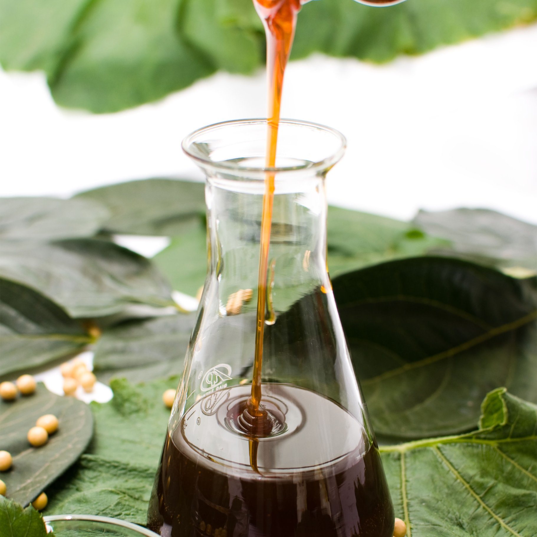 Lecithin Emulsifier – DuPont Danisco Food Grade