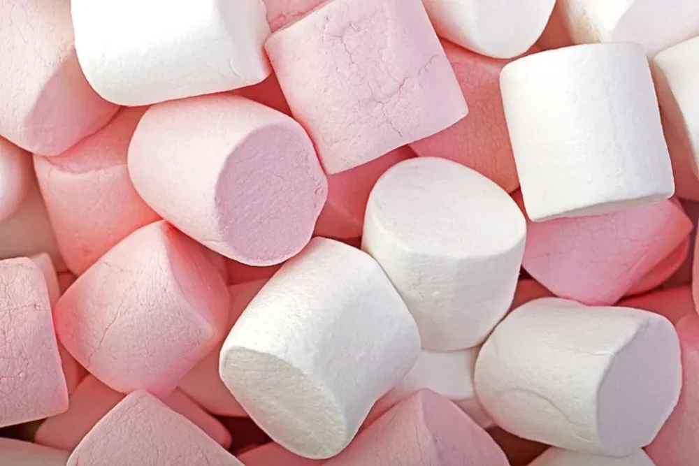 Marshmallow Manufacturer in Türkiye