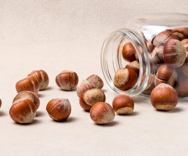 Snack-Grade In-Shell Hazelnuts – Manufacturer in Türkiye