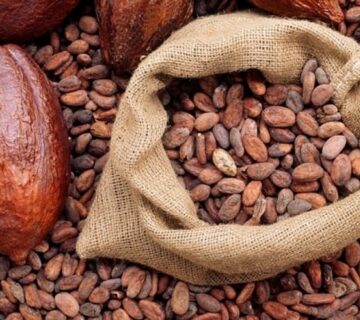 Trends in Cocoa Ingredient Imports and Re-Exports in the UAE