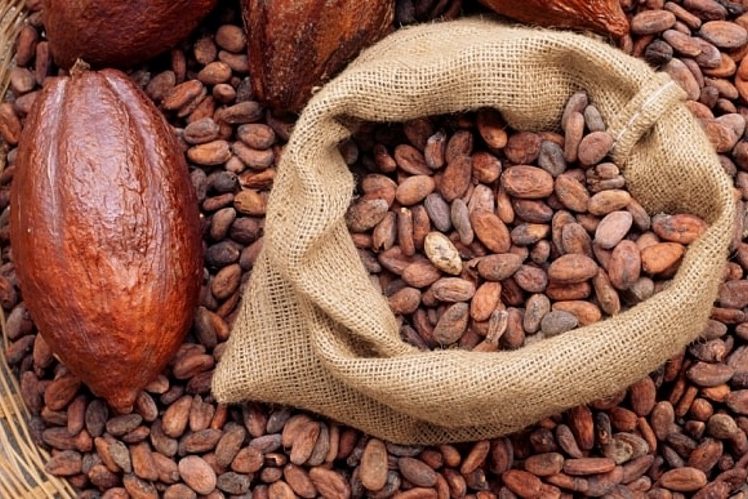 Trends in Cocoa Ingredient Imports and Re-Exports in the UAE