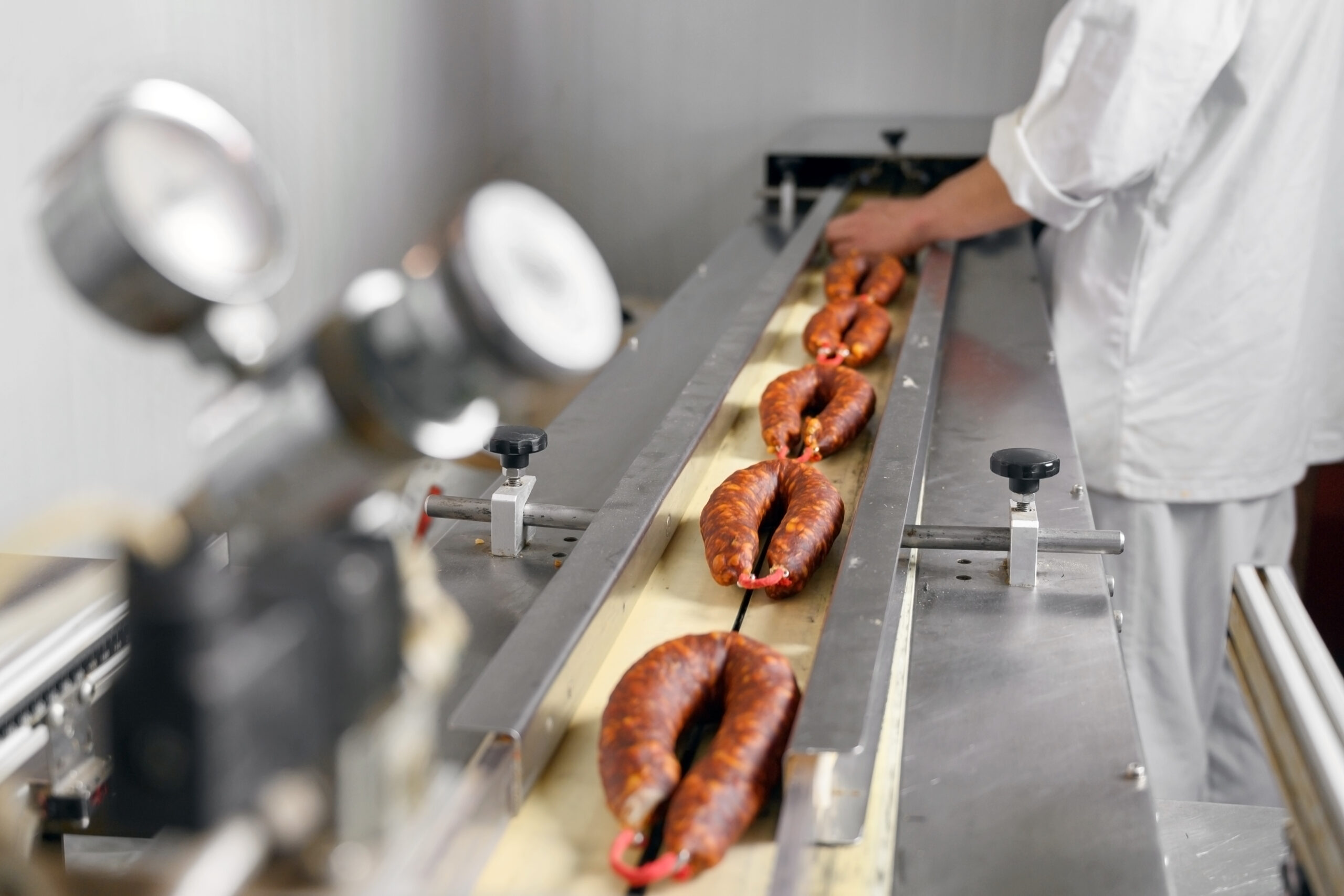Sodium Nitrite in Meat Processing