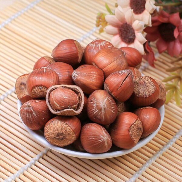 In-Shell Hazelnuts 22+ mm Premium – Manufacturer in Türkiye