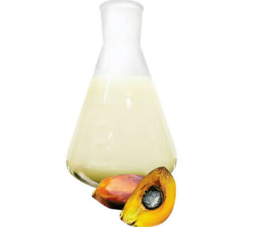 RBD Palm Stearin Supplier and Distributor
