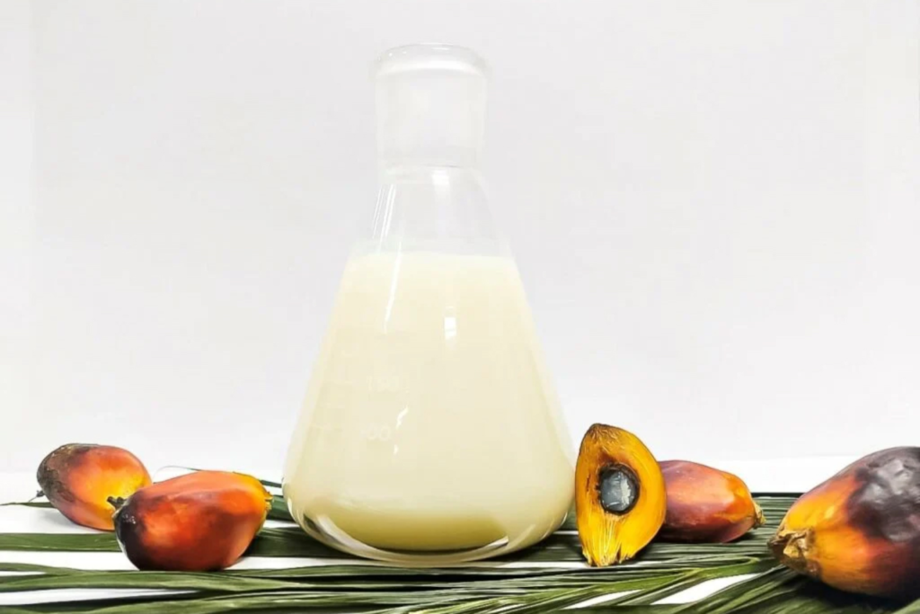 Palm Stearin at Best Price in Türkiye