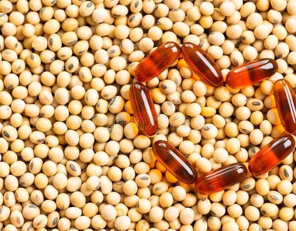 shiva Soy Lecithin Supplier