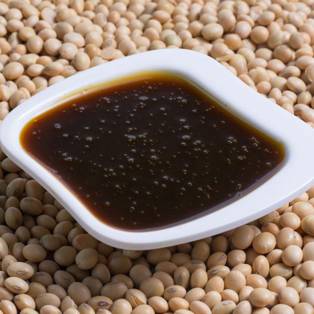 shiva Soy Lecithin Supplier