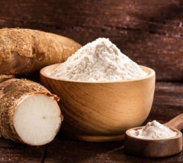 Starch for Bakery and Dairy – Bulk Supply Options for Food Factories
