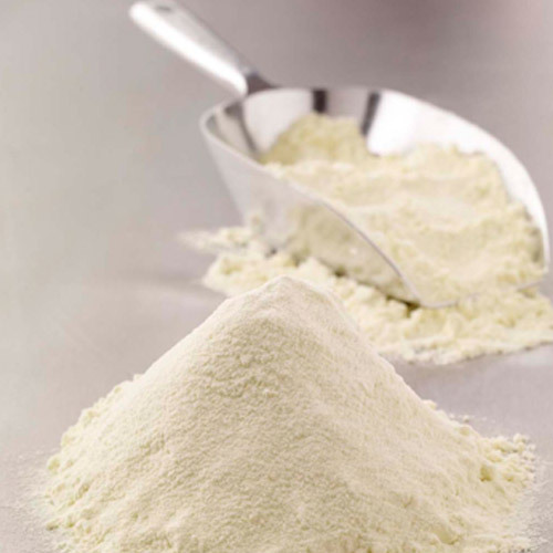 skimmed milk powder factory