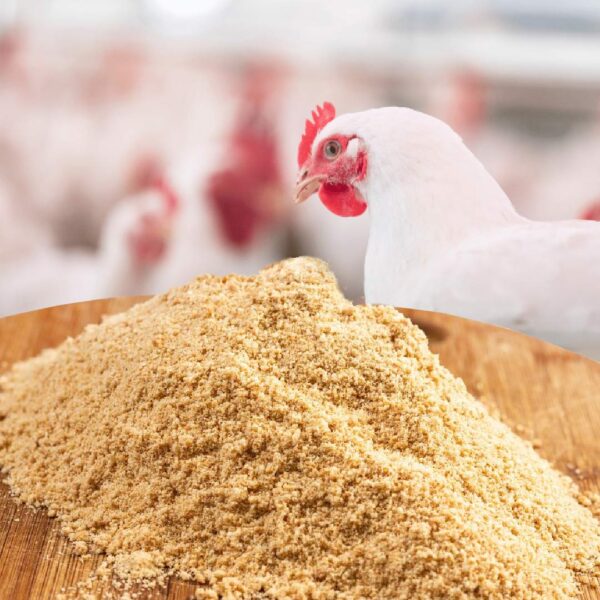 Broiler Concentrate Supplier