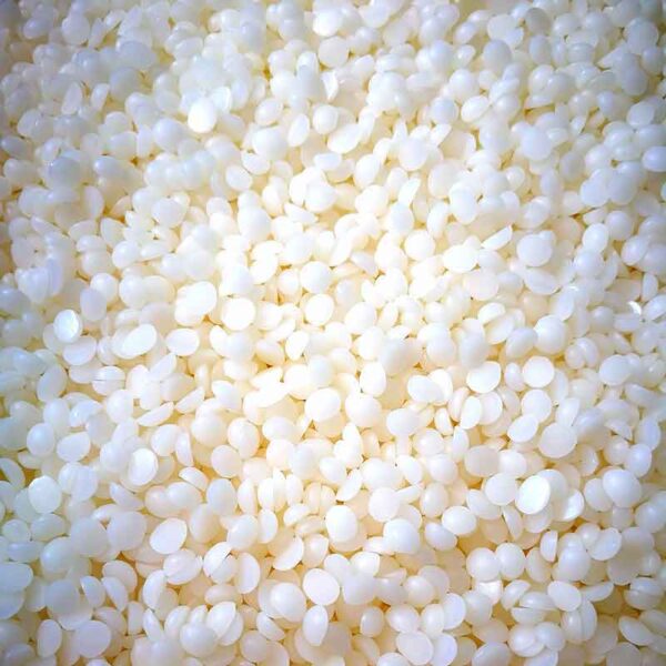 Carnauba Wax Supplier