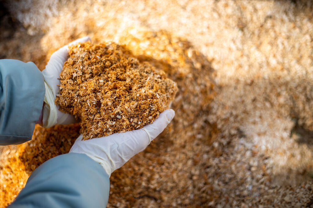 Dairy Cattle Concentrate Supplier