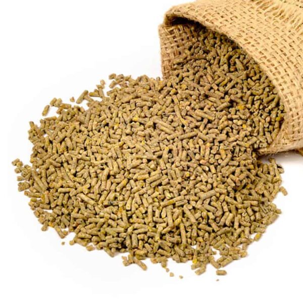 Pig Concentrate Supplier