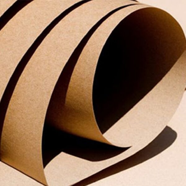 Testliner Board Supplier