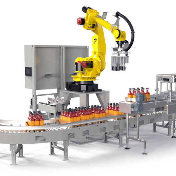 Case Packing Machine – For Sale