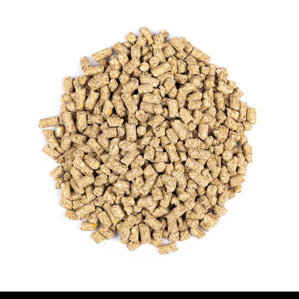 Beef Cattle Concentrate Supplier