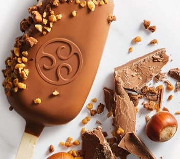 Callebaut Hazelnut Chocolate Supplier – Gianduja Style