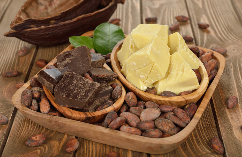 AAK Cocoa Butter Substitute (CBS) Supplier
