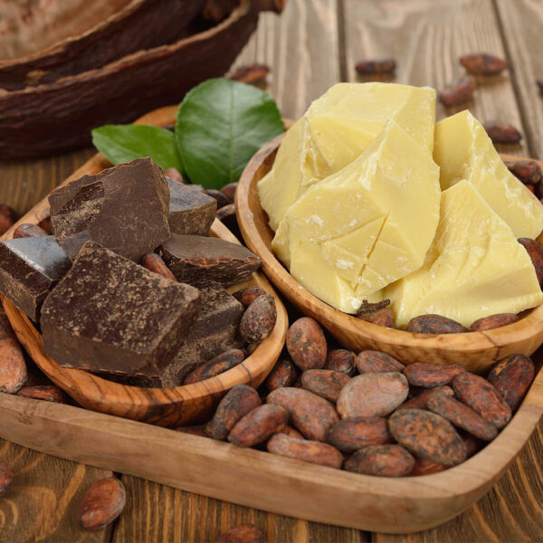 AAK Cocoa Butter Substitute (CBS) Supplier