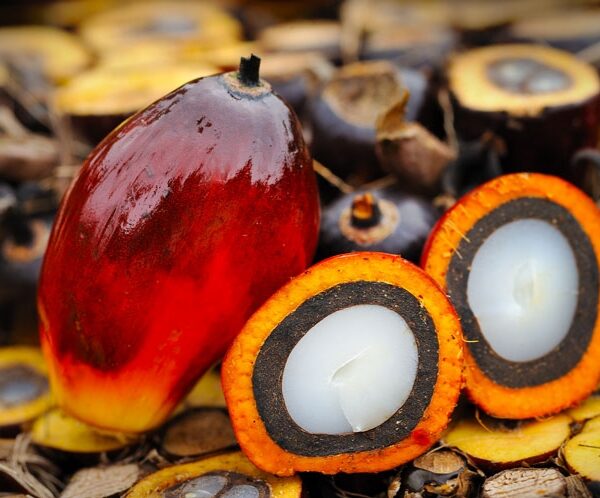 AAK Hydrogenated Palm Oil