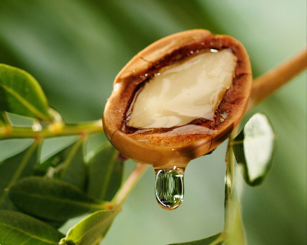 Argan Oil Supplier