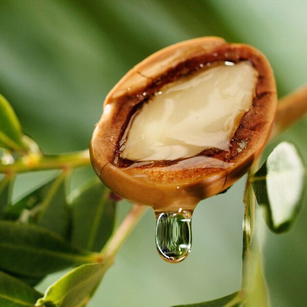 Argan Oil Supplier