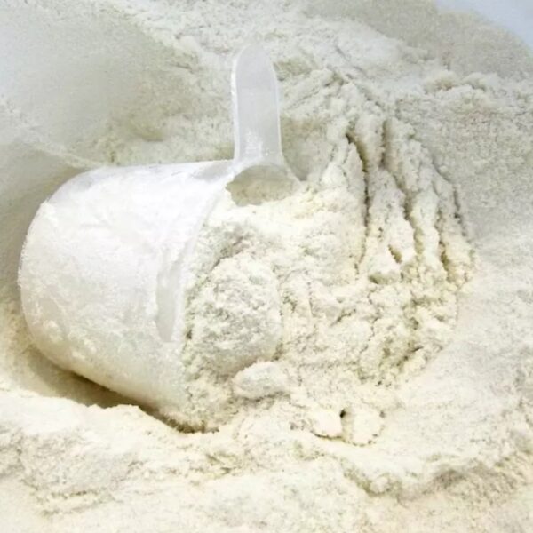 Food Grade Demineralized Whey Powder