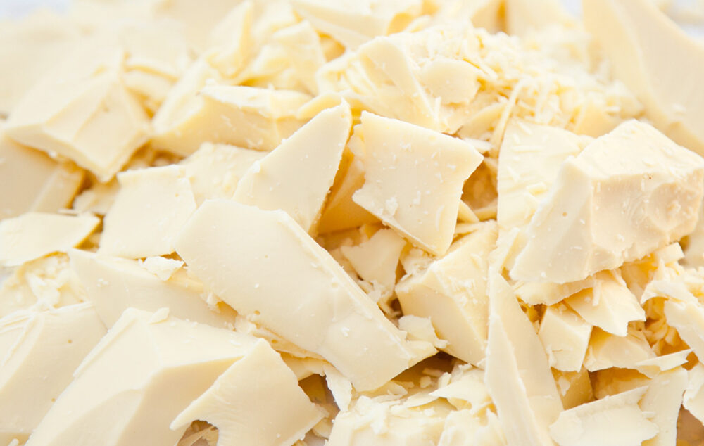 Fuji Oil Cocoa Butter Equivalent (CBE) Supplier